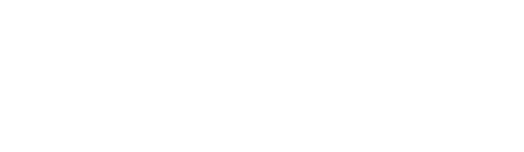 Triumph Interactive Logo